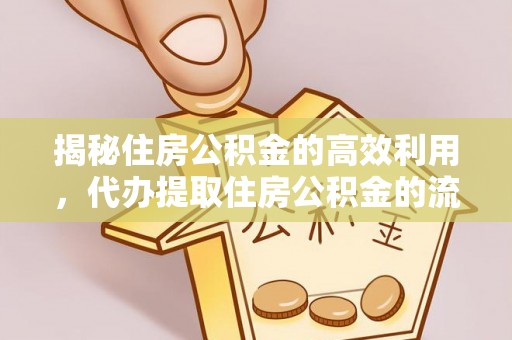 浦北揭秘住房公积金的高效利用，代办提取住房公积金的流程与技巧