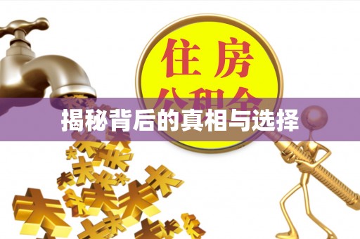 浦北揭秘背后的真相与选择