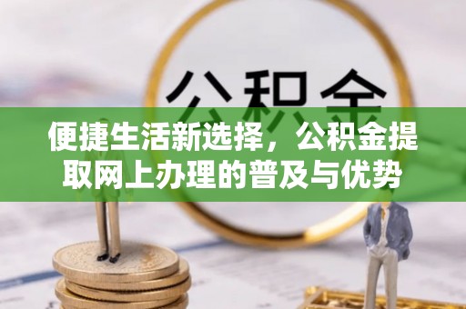 浦北便捷生活新选择，公积金提取网上办理的普及与优势