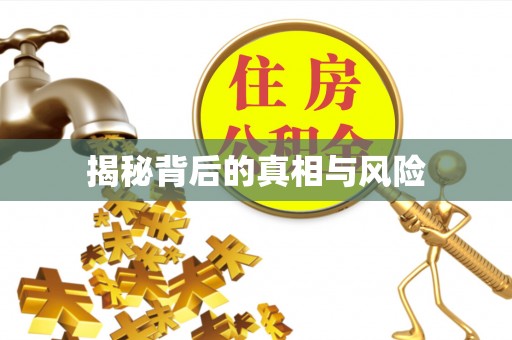 浦北揭秘背后的真相与风险