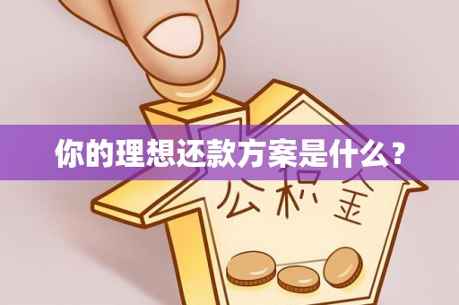 浦北你的理想还款方案是什么？
