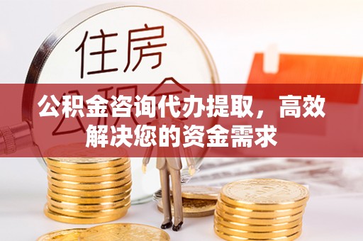 浦北公积金咨询代办提取，高效解决您的资金需求
